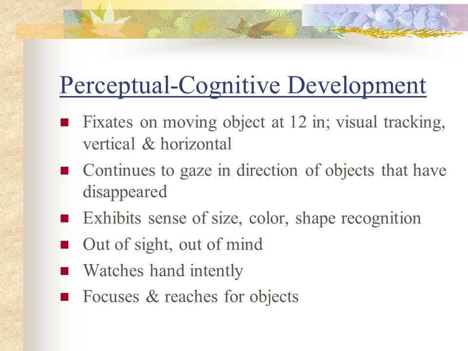 Perceptual Cognitive Development 2024 www.alhudapk